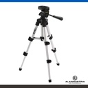 205875_1